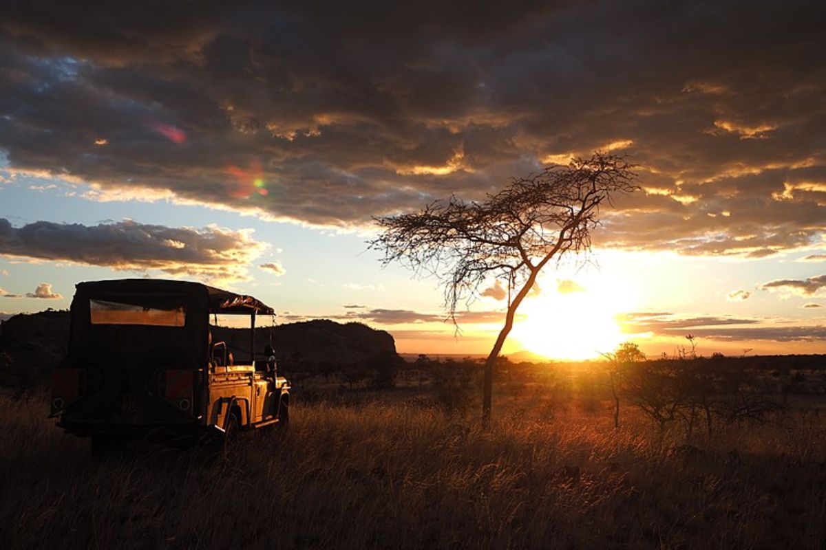 1-Day Shimba Hills Safari Day Trip from Diani